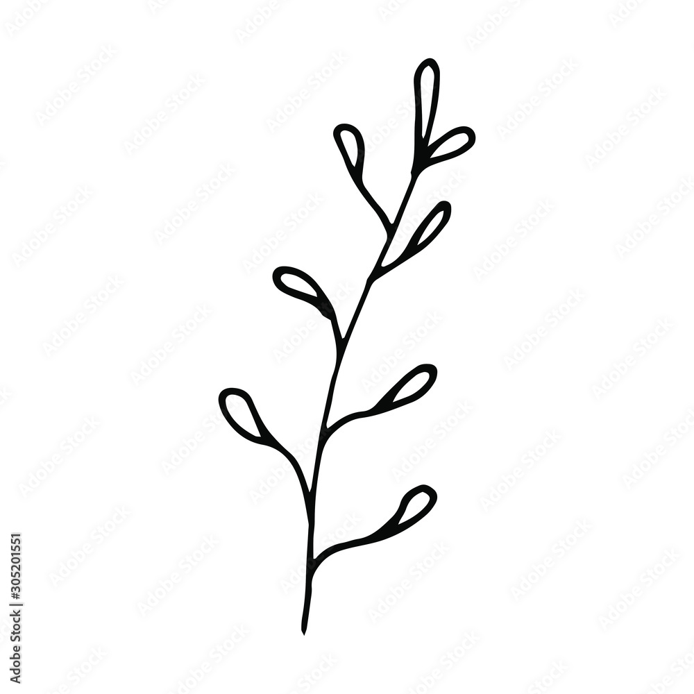 Hand drawn creative flower.  White background. Ink doodle illustration. Hand-drawn vintage, minimalistic black flower. Beautiful vector illustration.