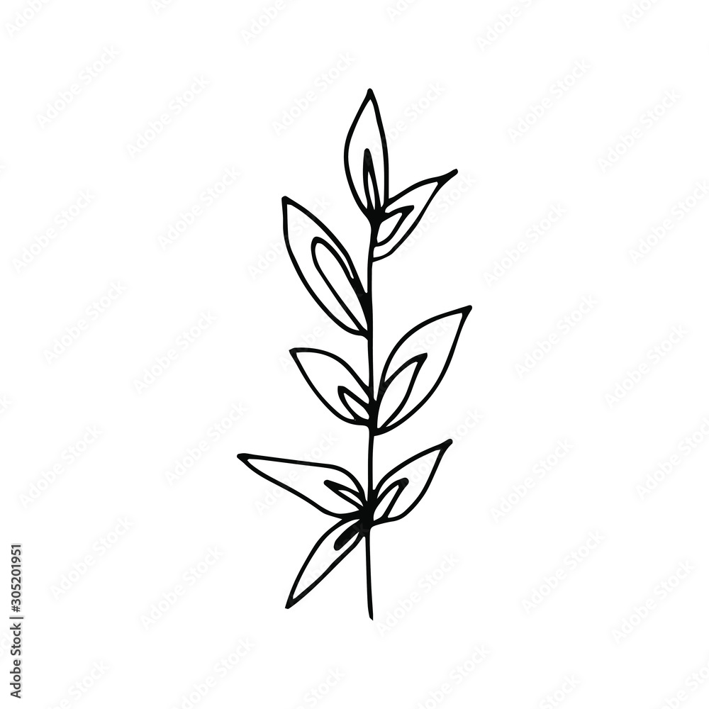 Naklejka premium Hand drawn creative flower. White background. Ink doodle illustration. Hand-drawn vintage, minimalistic black flower. Beautiful vector illustration.