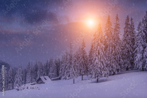 Magical landscape of mountains in winter. Fantastic morning glowing by sunlight. View of snow-covered forest trees. Background of falling snowflakes. Photo greeting card. © vovik_mar