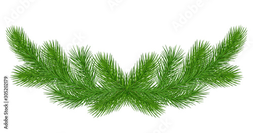 Pine branch wreath / garland, close-up, isolated. Green christmas decoration.