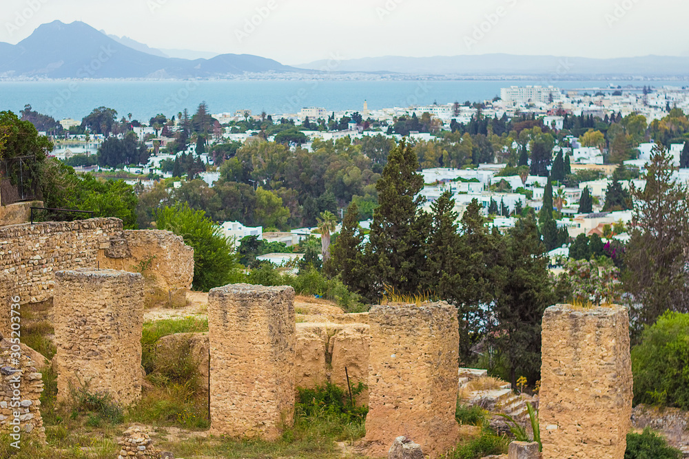 Panoramic view on the capital of Tunisia - Tunis city from Byrsa hill, white buildings and green trees Panoramic view on the capital of Tunisia - Tunis city from Byrsa hill, white buildings and green trees