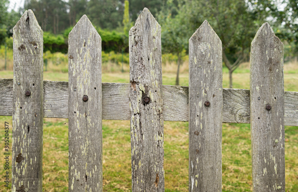 Old wooden fence with a lot of texture in gray tone with the unfocused anchorage of vegetation and trees. Old wooden fence with a lot of texture in gray tone with the unfocused anchorage of vegetation and trees.