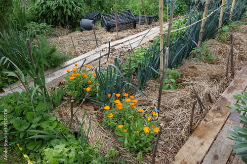 Cuadro en lienzo Permaculture