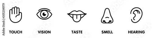 Icon set of five human senses.Vision eye, smell nose, hearing ear, touch hand, taste mouth with tongue. Isolated vector illustration. Poster, banner, web design. Medical reference. Body anatomy study.