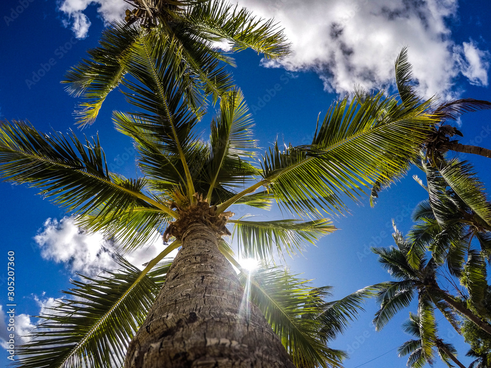 Obraz premium DCIM\100GOPRO\GOPR3024.