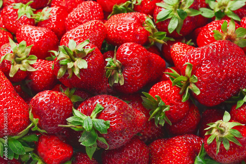 Strawberry. Fresh berries macro. Fruit background. Top view.