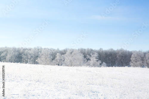 Alone frozen tree in snowy field and blue sky