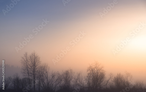 Foggy landsape with vibrant sunset colors and forest at winter evening in Finland