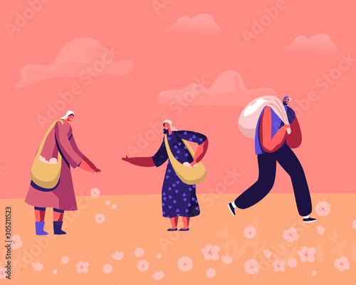 People Picking Ripe Cotton Flowers on Field Women with Shoulder Bags Talking to Each Other, Man Worker Carry Sack Full of Raw Materials. Seasonal Work on Plantation Cartoon Flat Vector Illustration