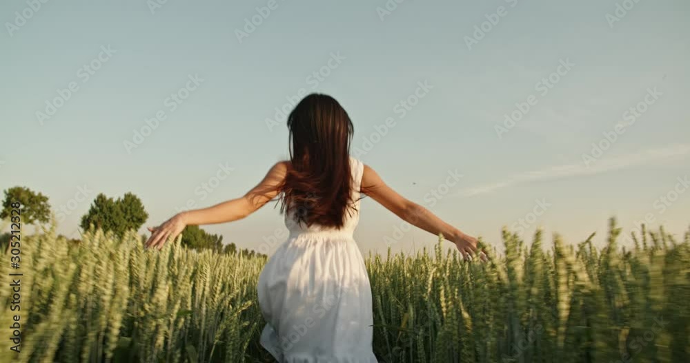 Authentic girl in white dress walking through wheat field during sunset, touching wheat ears - close up shot 4k footage Authentic girl in white dress walking through wheat field during sunset, touching wheat ears - close up shot 4k footage