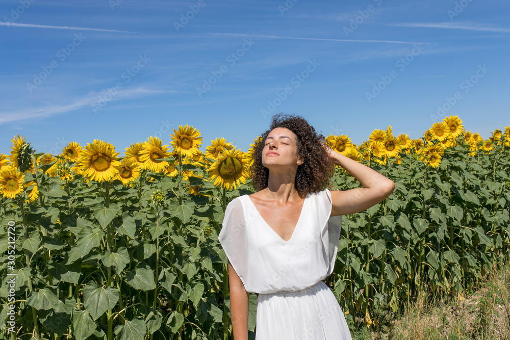 Fototapeta premium Sunflowers 
