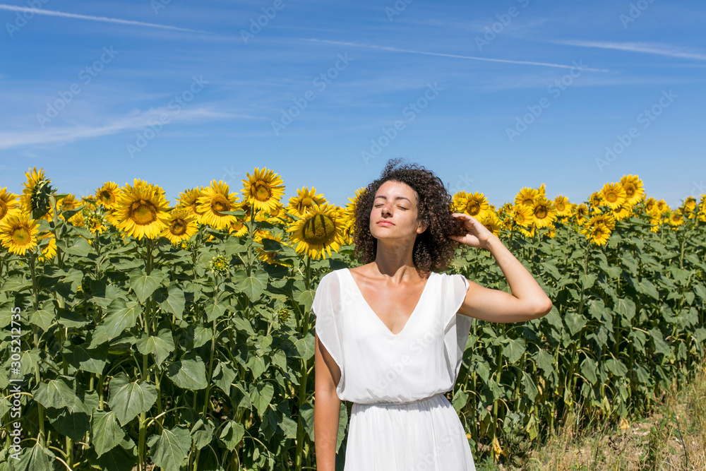 Fototapeta premium Sunflowers 