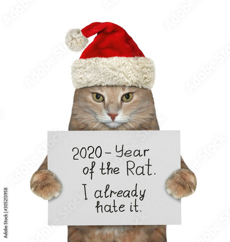 The beige cat in the red Santa Claus hat is holding a sign that says 2020 - year of the rat and I already hate it. White background. Isolated.
