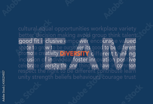 Diversity in Team word cloud 