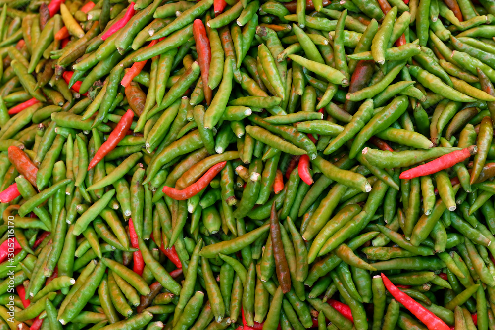 Chilli vegetable pattern for background. Chilli vegetable pattern for background.