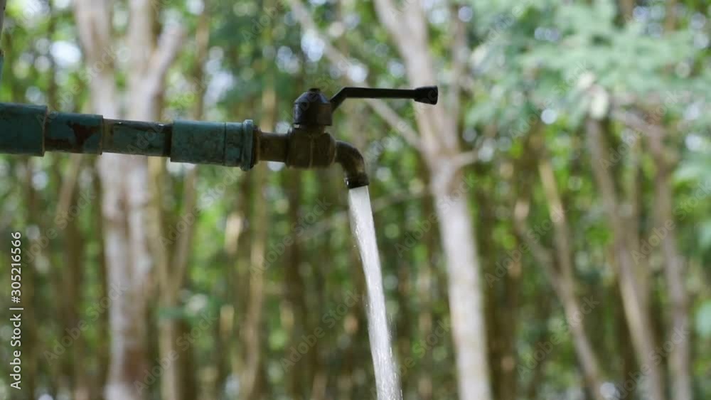 Water valve on green nature background, Close up tap valve with blur background of green tree, Water drop from steel faucet to waste, Water saving concept Water valve on green nature background, Close up tap valve with blur background of green tree, Water drop from steel faucet to waste, Water saving concept