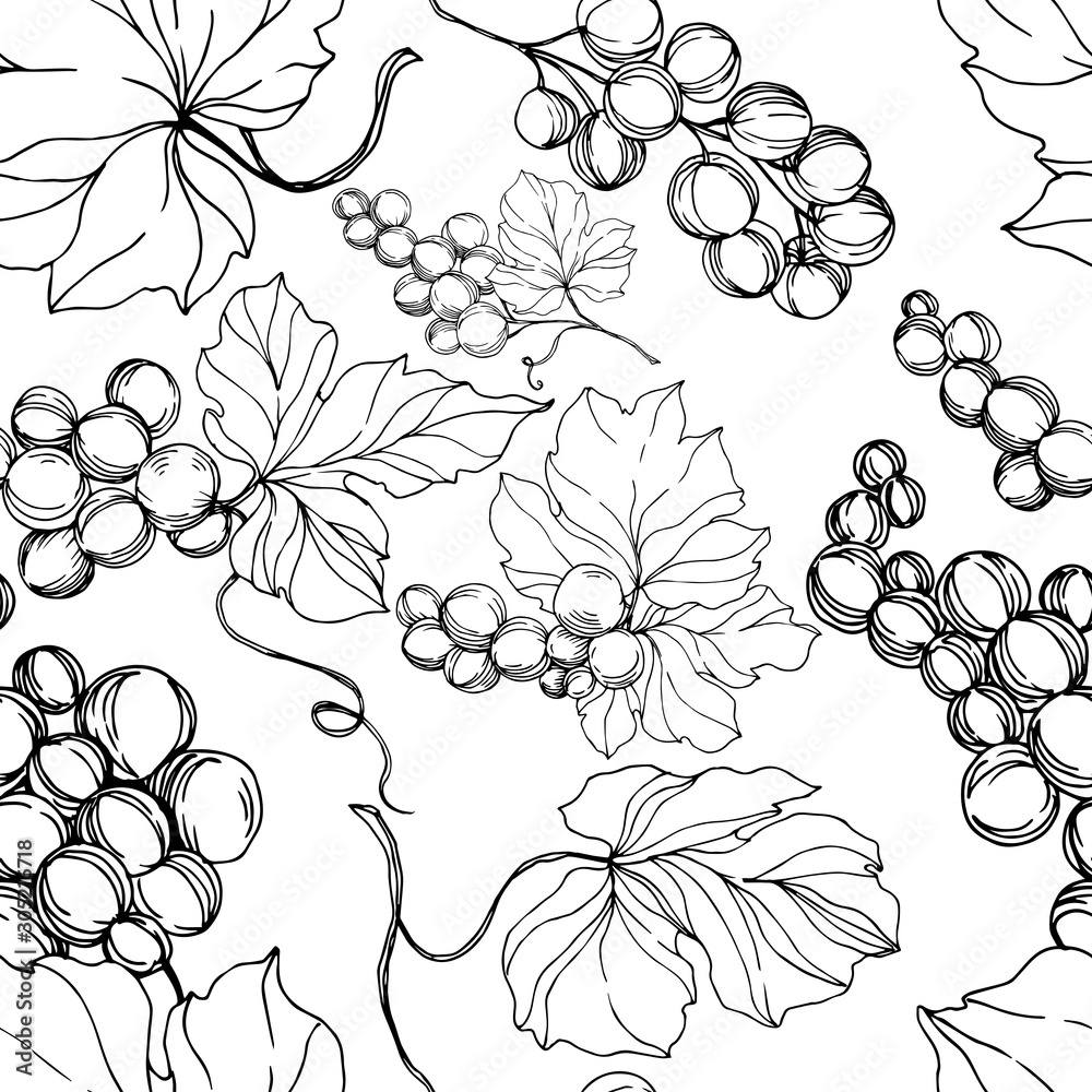 Fototapeta premium Vector Grape berry healthy food. Black and white engraved ink art. Seamless background pattern.