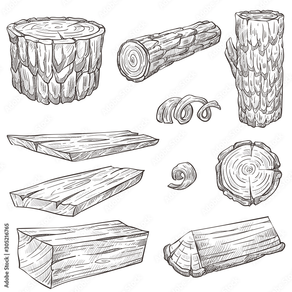 Logs and stump, wood and wooden natural materials isolated sketches