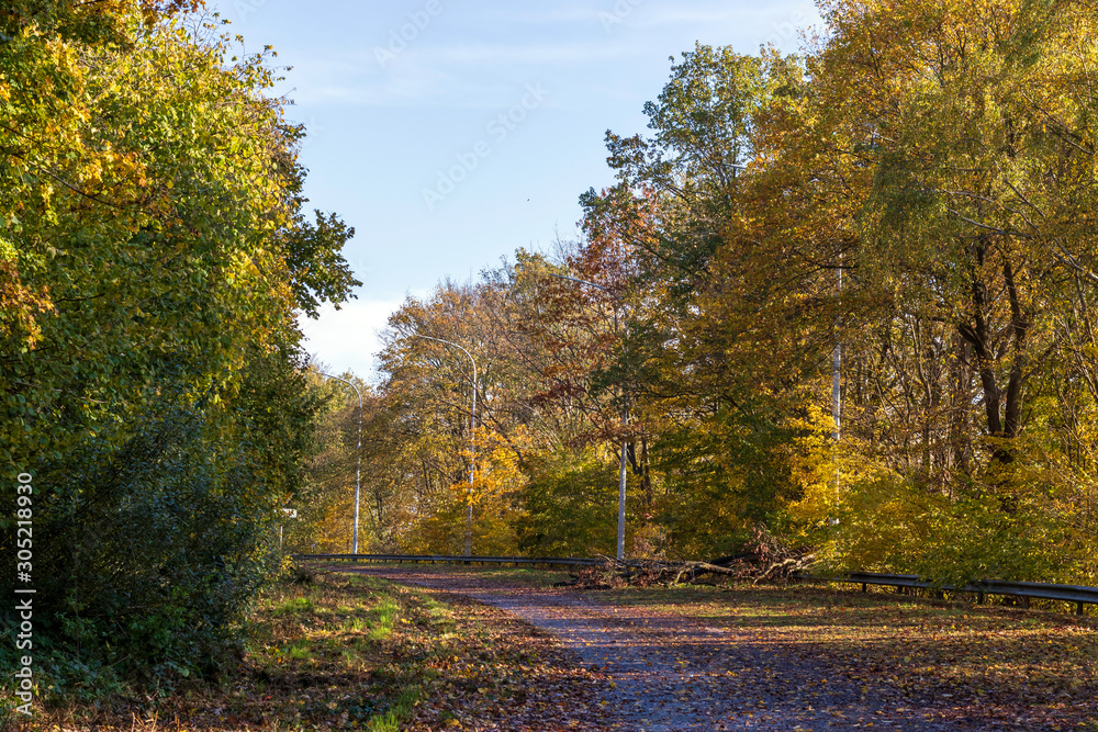 Naklejka premium Une branche sur l'autoroute
