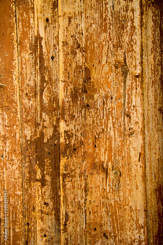 wood texture background