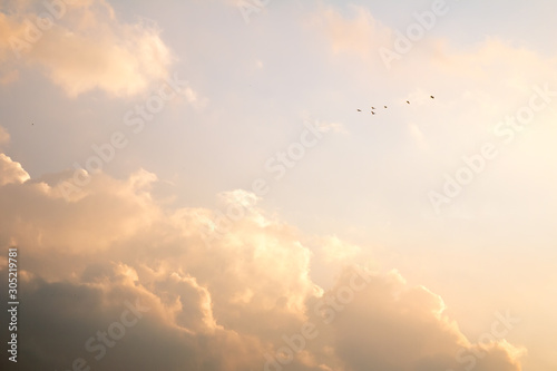 Fototapeta Naklejka Na Ścianę i Meble -  Cloudy with sun light sky as abstract background; nice sky with tiny clouds.