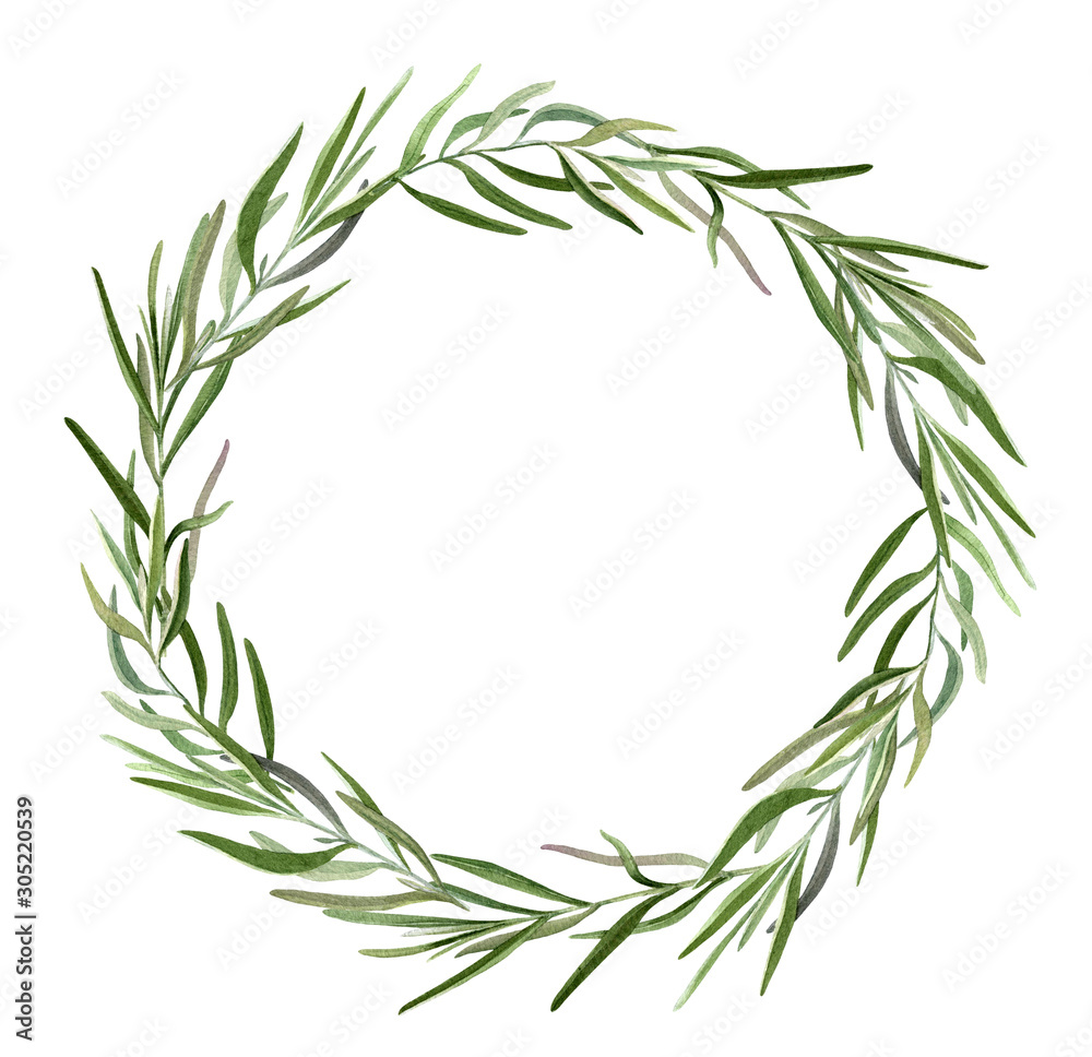 Hand drawn watercolor wreath with green lavender leaves isolated on a ...