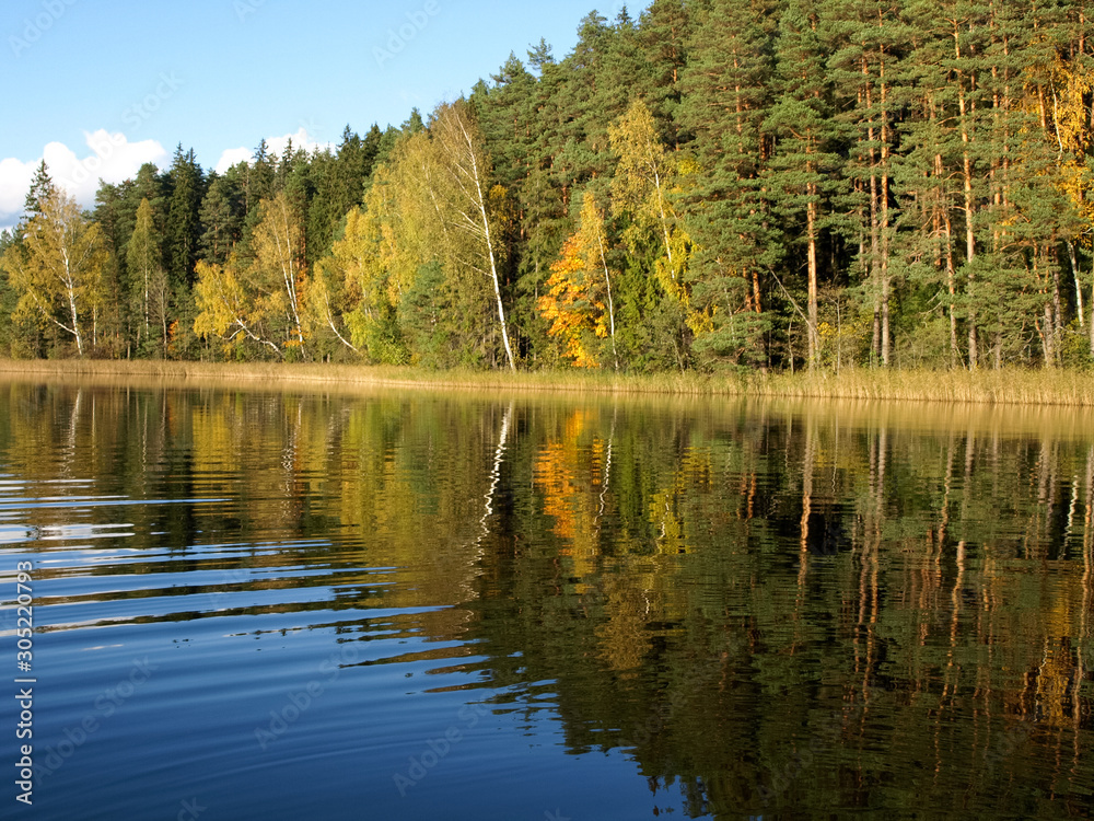 Obraz premium colorful autumn landscape with lake and gorgeous trees, beautiful reflections in calm water
