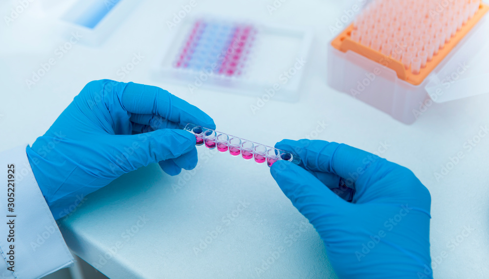 Woman holding small test tubes with pink liquid Woman holding small test tubes with pink liquid