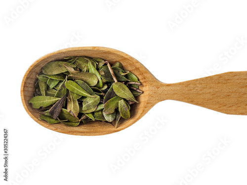 Dry leaves of Arctostaphylos in a wooden spoon on a white background photo