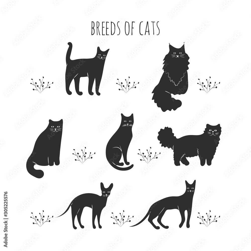 Set icons cartoon style of cat breeds. Simple silhouettes of characters for different design.