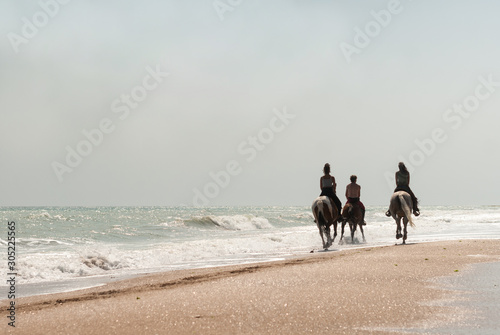 Riders on the horses