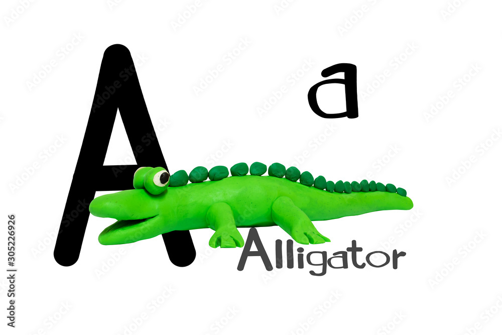Naklejka premium Cartoon characters,alligator isolated on white background.