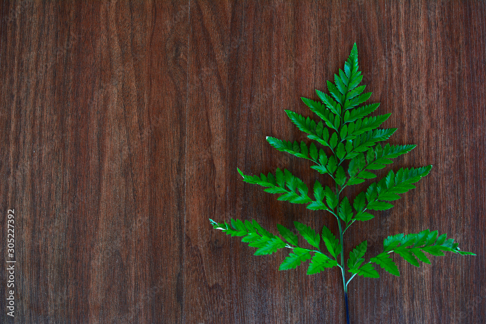 Fern leaves on wood table , top view copy space for text or objects. Fern leaves on wood table , top view copy space for text or objects.