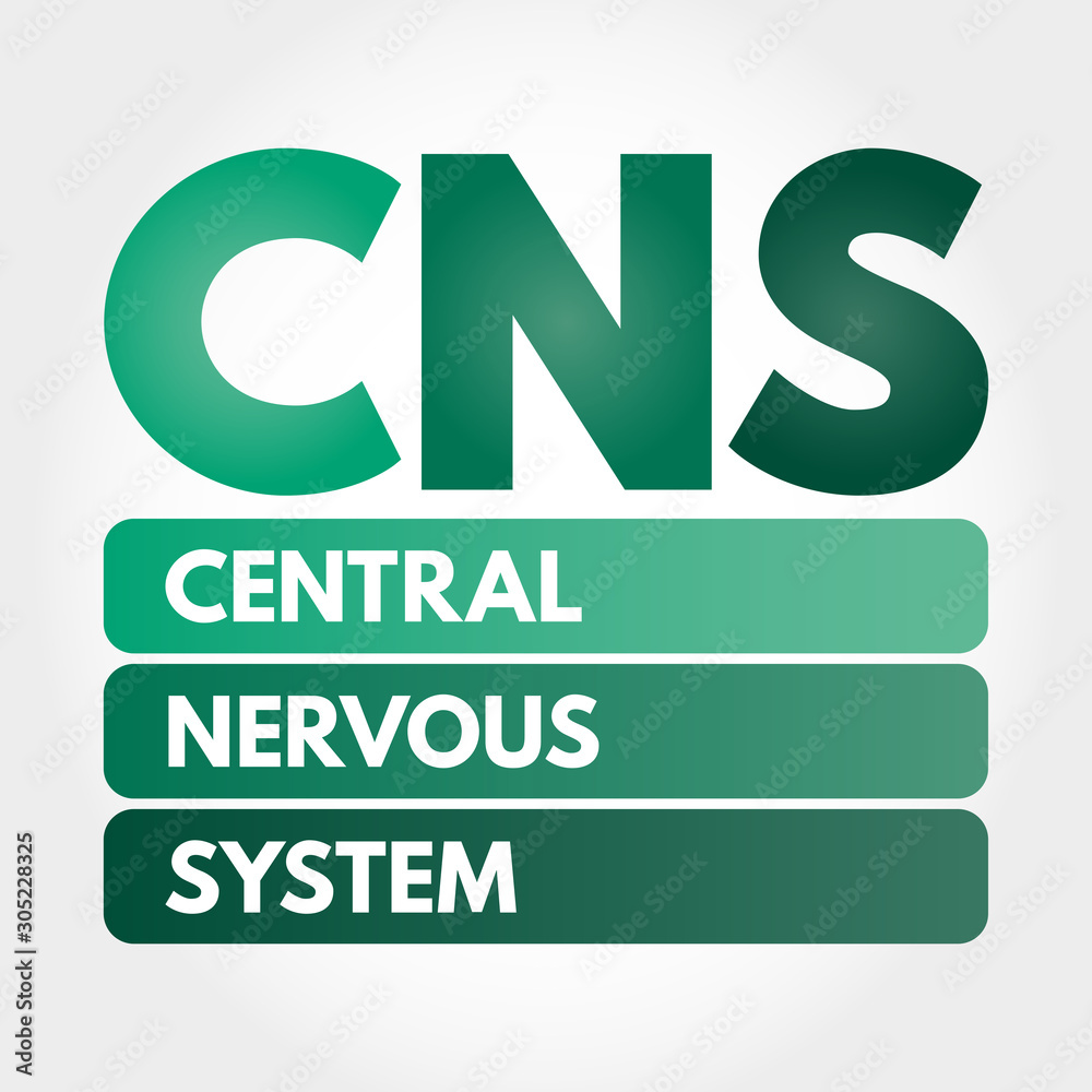 Naklejka premium CNS - Central Nervous System acronym, concept background