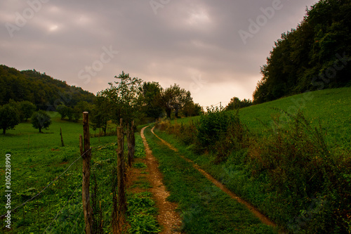 path between green meadows and lush gardens