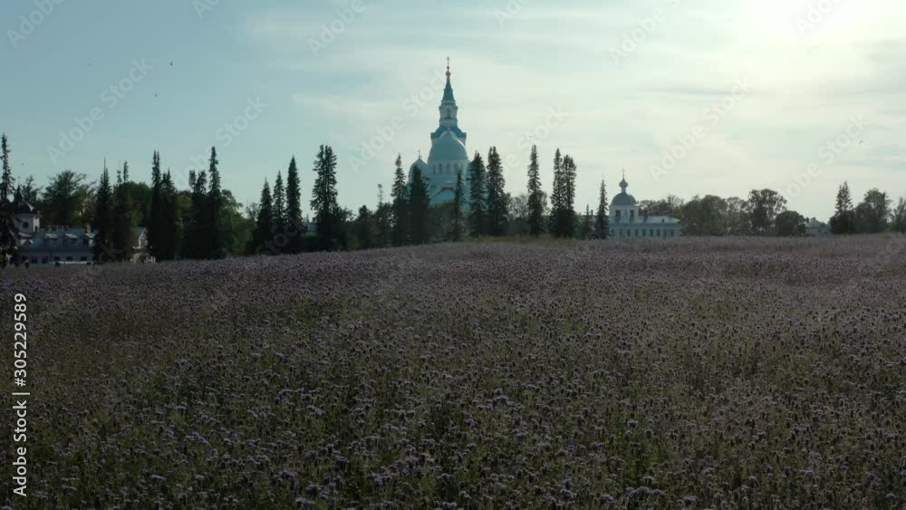 flower field in front of church, located on Valaam flower field in front of church, located on Valaam
