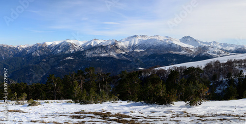 Mountain snowy panoramic view with trees, Caucasus