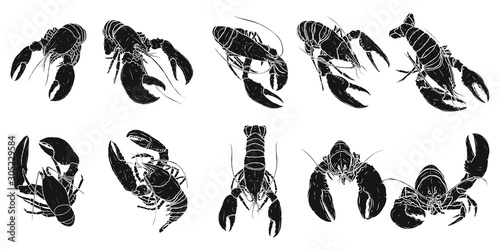 Set of lobster by hand drawing.Lobster vector silhouette on white background.Shrimp art highly detailed in line art style.Animal pictures for coloring.