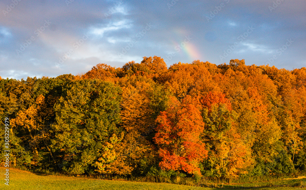 Fototapeta premium autumn foliage in early morning with rainbow peeking through clouds 