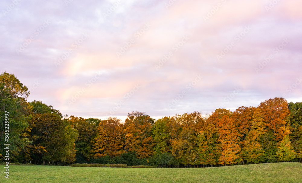 autumn foliage in early morning with rainbow peeking through rosy clouds 