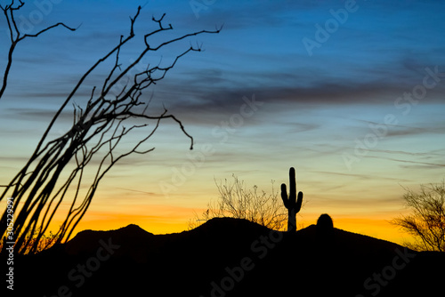 Desert Landscape at Dusk