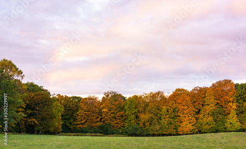 autumn foliage in early morning with rainbow peeking through rosy clouds 