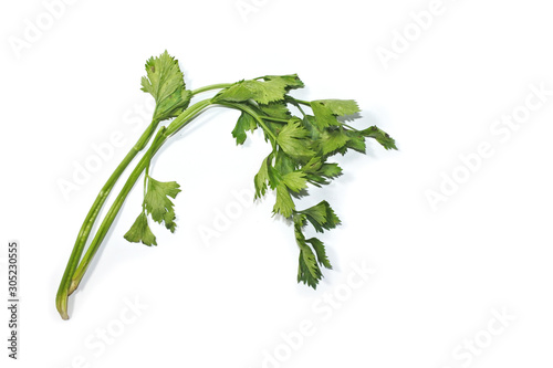 Leaves of fresh tasty celery parsley isolated on white background. Celery parsley bunch on white background
