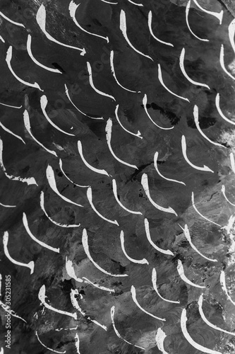 Abstract black and white paint background with lines