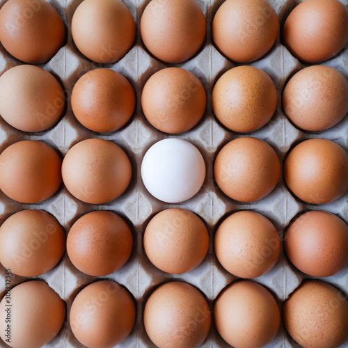 Healthy organic food, Ingredient protein breakfast, Fresh brown chicken eggs with unique white duck egg with selective focus and blurred surrounding background in paper tray pattern