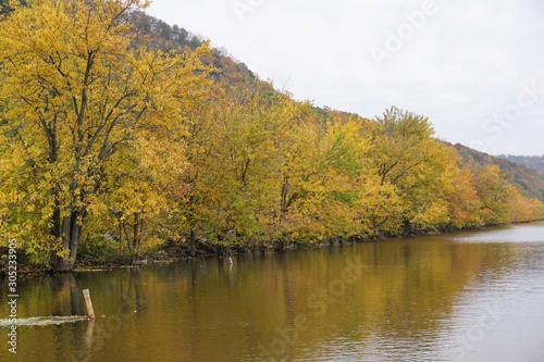 Wallpaper Mural Fall Colors Along the Mississippi Torontodigital.ca