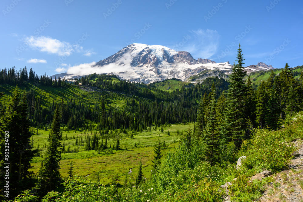 Green Valley and Pine Trees Below Mount Rainier