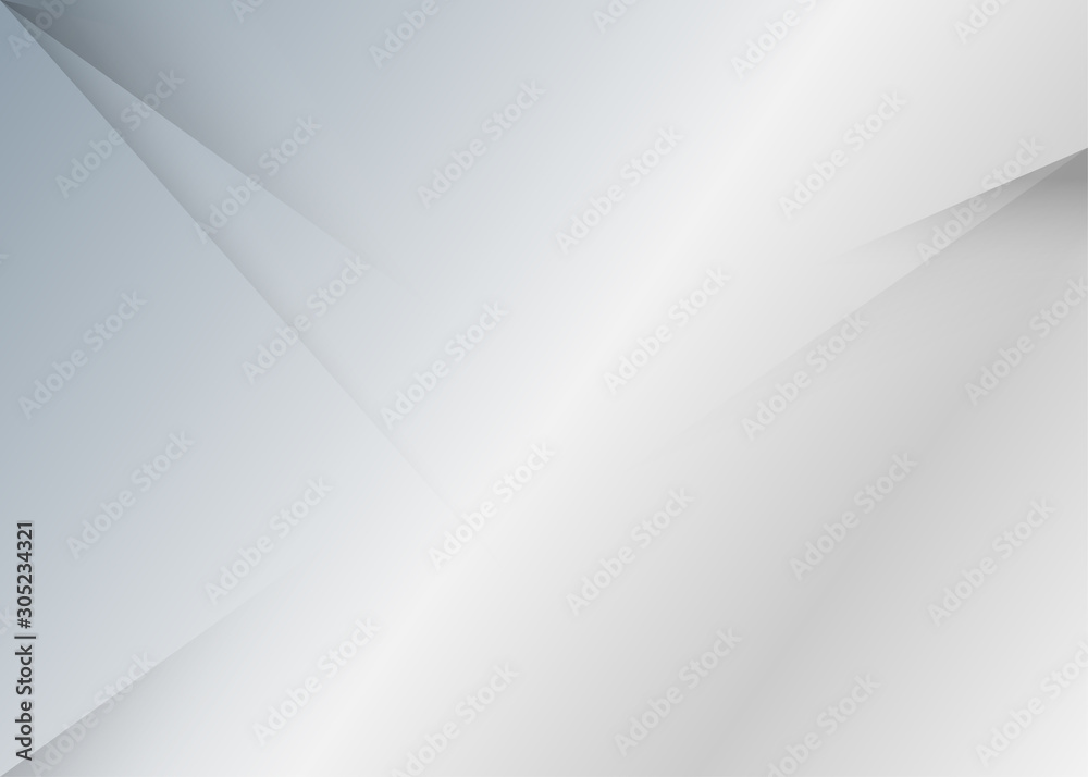 Obraz premium Silver gray geometric shape paper subtle vector abstract background