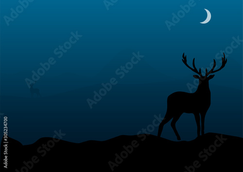 silhouette of deer © freeman_studio
