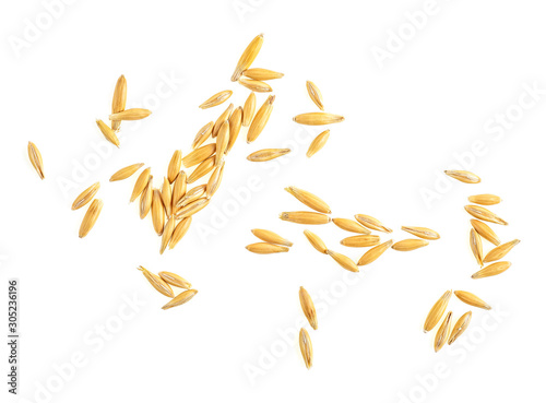 Oat seeds isolated on white background, top view.